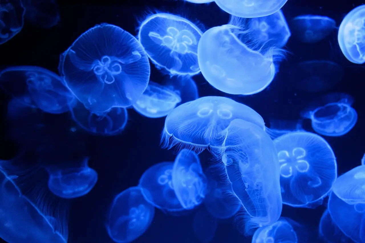 NASA’s SpaceX launch lights up the sky with a giant glowing jellyfish