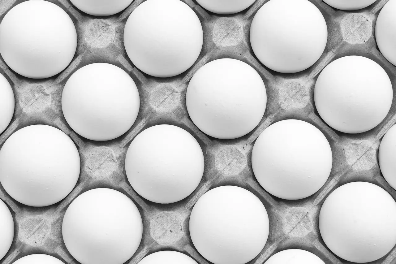 Blue light could cut food poisoning from raw chicken