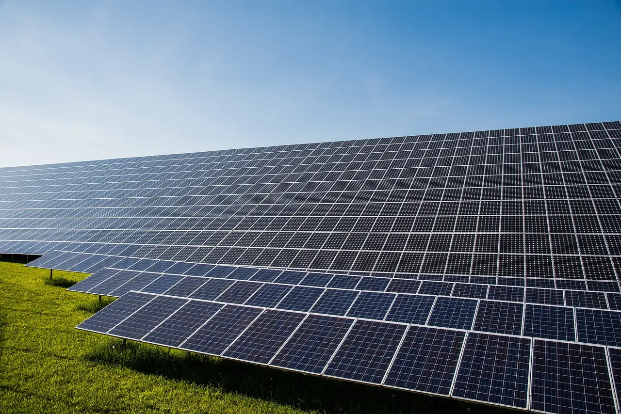 Multitasking in magenta: Colored solar panels could help farms grow crops and generate electricity on shared land