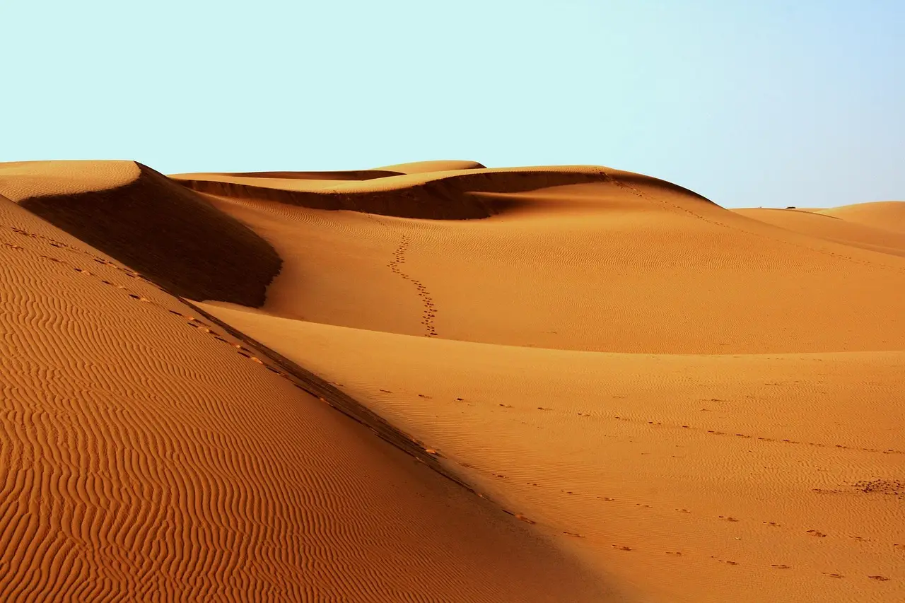 1.4-million-year-old footprints reveal a surprisingly large human relative