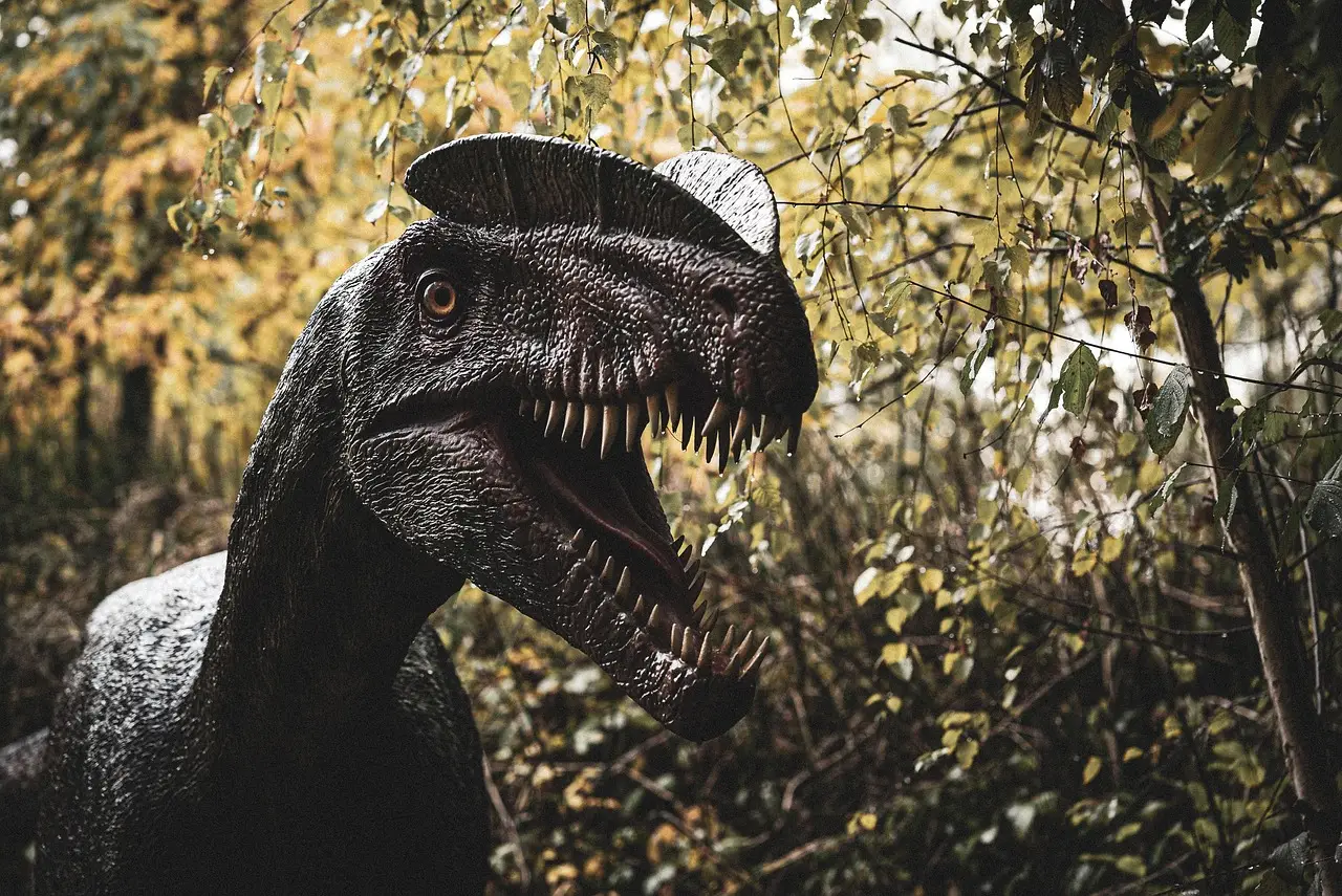 Fossil long known as world's oldest reptile dethroned
