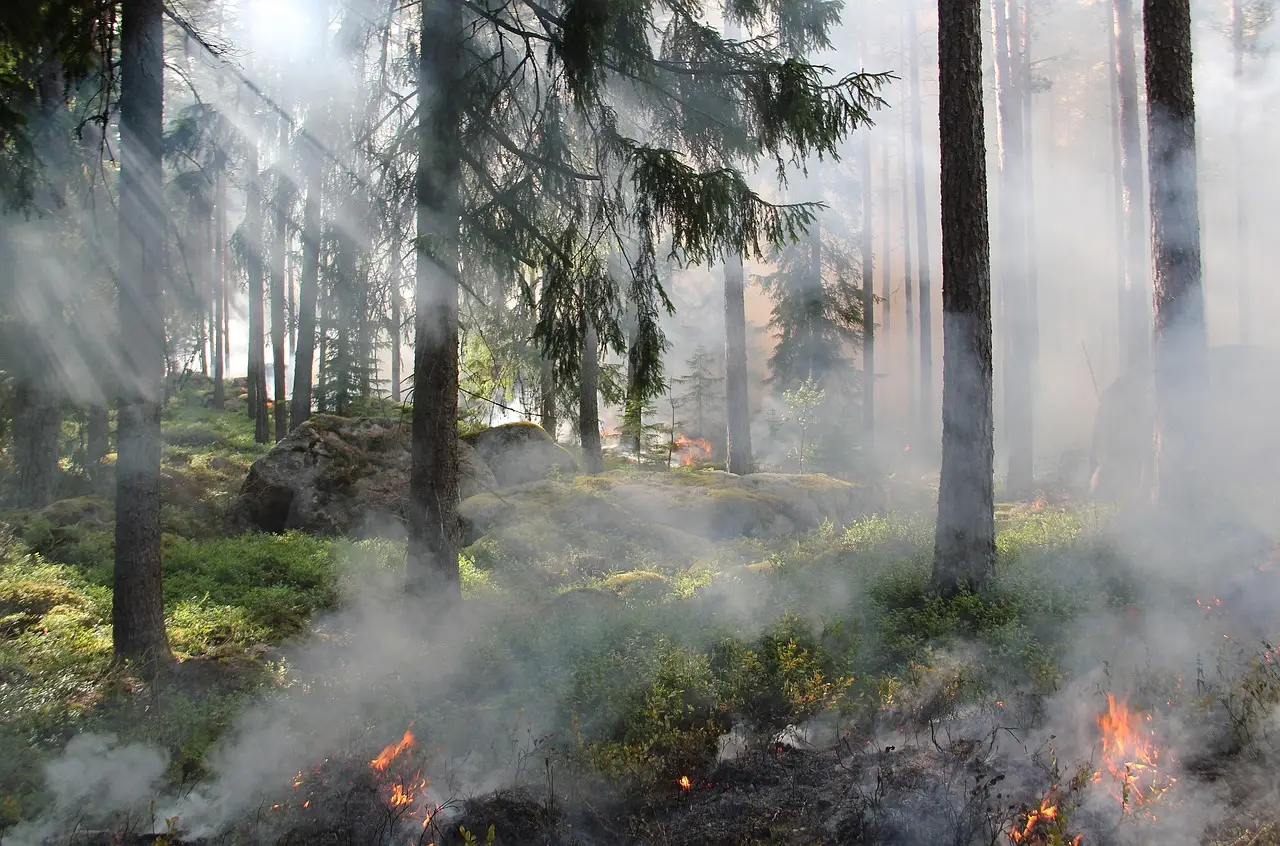 7/23/2026: As Africa’s dry season shrinks, so does its wildfire burn area